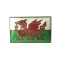 Wales National Flag Welsh Red Dragon Metal Enam...