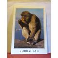 ROCK APE, GIBRALTAR used large postcard 2004 pm #