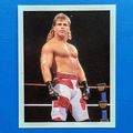 SHAWN MICHAELS MERLIN WWF 1992 - ROOKIE STICKER...