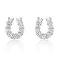 Lucky Horseshoe Earring Set