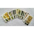 1981 complete set 40 Brooke Bond Small Wonders ...