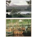 Lochinver Fishing Boats 2x Painting Postcard s