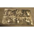 1921 fr Postcard - Swans @ The Canal, Hythe - Kent
