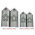 US AIR FORCE 5 STARS GENERAL MALE / FEMAIL MESS...