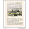 SION ABBEY FM SW, ISLEWORTH, BOOK ILLUSTRATION ...