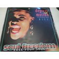 Degrees Of Motion ft Biti - Soul Freedom (Free Your Soul) - 1992 - 12" Vinyl Sin