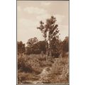 On Epsom Common, Surrey, 1935 - Judges RP Postcard