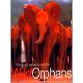 Wild Orphans
