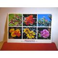 multiview, flowers of MADEIRA, PORTUGAL used po...