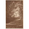 Tennysons Lane Freshwater Isle Of Wight Postcar...