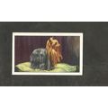 Cigarette Card Gallaher Dogs A series 1936 # 43...
