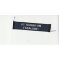 Scout Nametape UK - 1st Surbiton (Sealions) Sea...