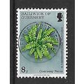 GUERNSEY 1975 GUERNSEY FERN 8p QUILLWORT SG 124...