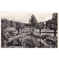 Lilypond Central Gardens Bournemouth Dorset Pos...