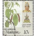 SELANGOR, MALAYSIA, FRUIT, Black Pepper, white ...