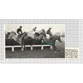C2774) Eddie Harty Mr TD Rootes Oyster King Hor...