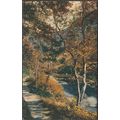 The Woodland Bridge, c.1910s - Photochrom Postcard
