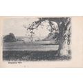ED 160 BEDGBURY PARK. PRINTED POSTCARD