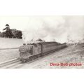 Railway Photo LNER N2 69585 Hadley Wood 1954 N2...