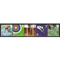 SG 2981/5: London 2012 Olympic and Paralympic G...