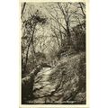 Yorkshire HAYBURN WYKE Old Carriage Drive Postc...