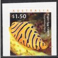 AUSTRALIA: 2025, LIVING SEASHELLS, TIGER EGG CO...
