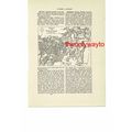 Sydney & Port Jackson, Map, Australia, Small Bo...