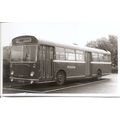 Black & White Photograph of Ribble Motor Servic...