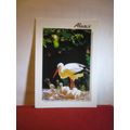 STORKS, ALSACE, STRASBOURG, FRANCE used postcar...
