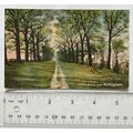 vintage postcard Clifton Grove near Nottingham