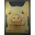 1970 Perkins Engines ATA Ad - This Little Piggy Goes To