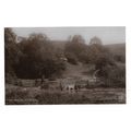 Poynings, Sussex, RP Postcard.