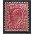 1902 SG219 1d Scarlet Unmounted Mint (slight gu...