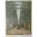Country Life 1907 Car Driving Down Tree Line Dr...