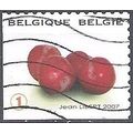 Belgique 2007 Michel 3746 O Cote (2008) 1.70 € ...