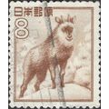 JAPAN, MAMMAL, Serow, Capricornis crispus, brow...