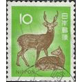 JAPAN, MAMMAL, Sika Deer, Cervus nippon, green ...