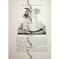 Three Ladies, Gallery Of Fashion, 1796, Fashion...