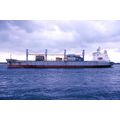 SL0696 - Dutch Cargo Ship - Star Lorraine - pho...