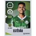 PANINI FIFA CLUB WORLD CUP 2025 ESTEVAO ROOKIE ...