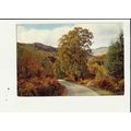 Inverness-shire GLEN CANNICH Postcard by J. Art...