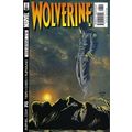 Wolverine (Vol 1) # 176 NM MODERN AGE COMICS