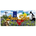 Texas the Lone Star State 3D Fridge Magnet