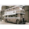 Black & White Photograph of Northampton Corpora...