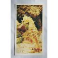 1988 Players Doncella The Living Ocean No. 24 S...
