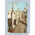 Rhode Island Galilee Giant Tuna~470