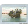 CT Middletown Postcard Willow Island Conn River...