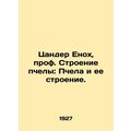 Zander Enoch, Prof. Bee Structure: Bee and its ...