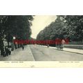 Luton, Bedford Road, Beds, Postcard, 1907