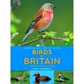 A Naturalist's Guide To The Birds Of Britain An...